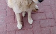 Yaşamkent Aile Sağlığı Merkezi
