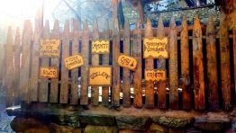 Cumalıkızık 2018 Gezisi