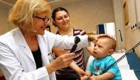 Mamalarda GDO Şüphesi