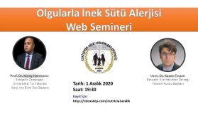 Online Seminer
