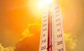 AŞIRI SICAKLARA DİKKAT