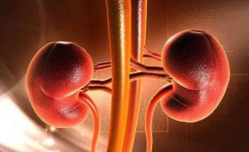 Dünya Böbrek Günü
