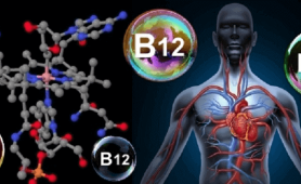 B12 Vitamini