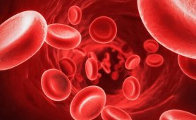 Dünya Hemofili Günü