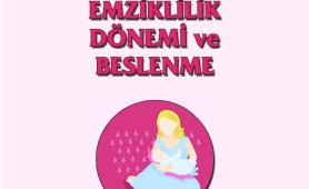 Emziklilik Döneminde Beslenme