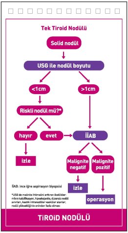 Tiroid Hastalıkları - Poliklinik İçin Notlar