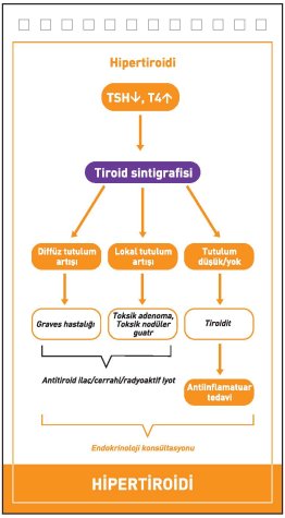 Tiroid Hastalıkları - Poliklinik İçin Notlar