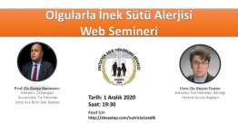 Online Seminer